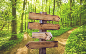 Pathfinder-first-network-blog_image-300x188-1